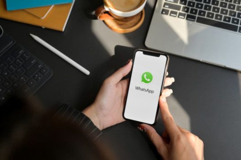 Descubra Como Organizar Clientes No Whatsapp Business! - Zap Contábil